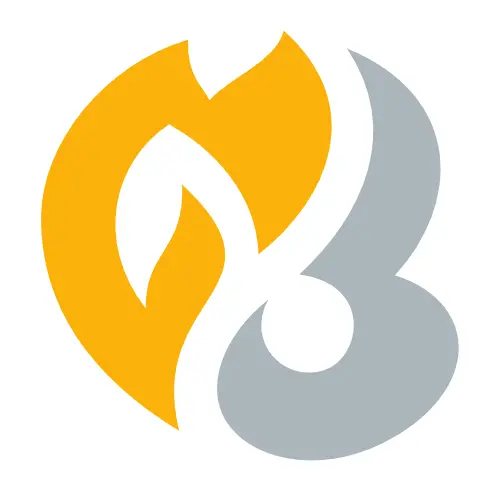 HeartGold & SoulSilver - HeartGold SoulSilver